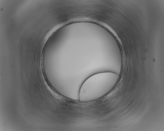 X0000073751245200608171323