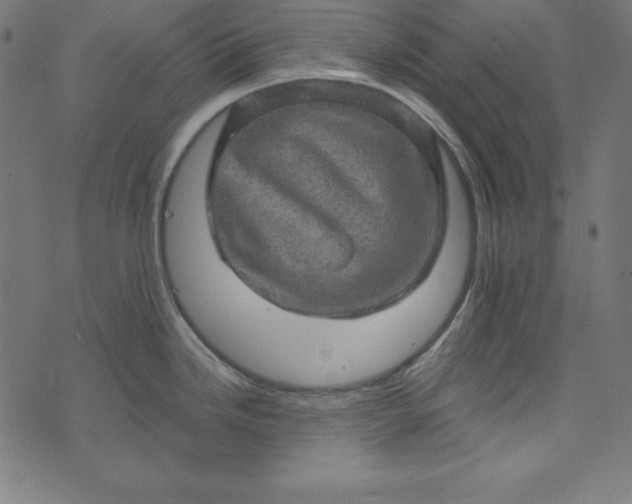 X0000073751246200608171323