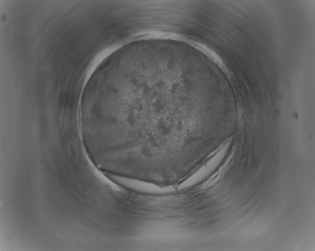 X0000073751247200608171323