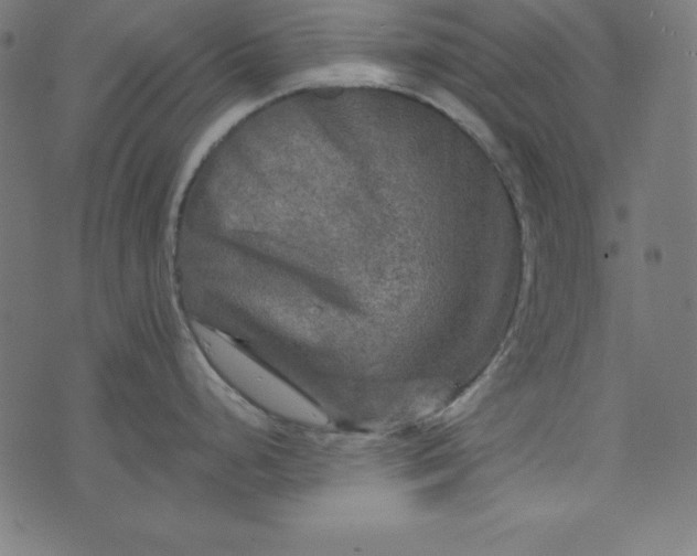 X0000073751248200608171323