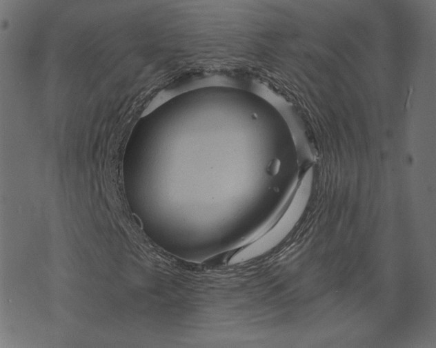 X0000073751249200608171322