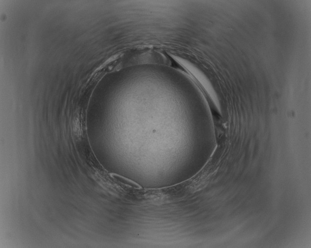 X0000073751250200608171322