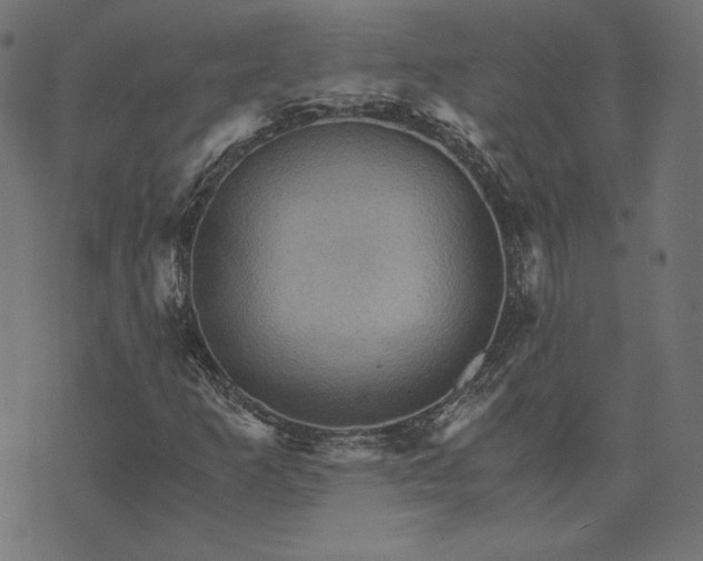 X0000073751253200608171322