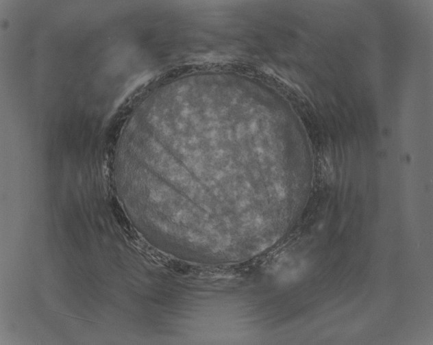 X0000073751254200608171322