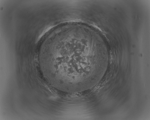 X0000073751255200608171322