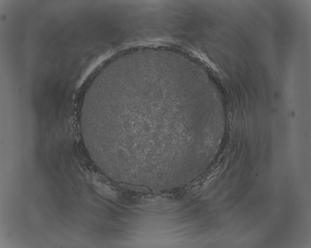 X0000073751256200608171322