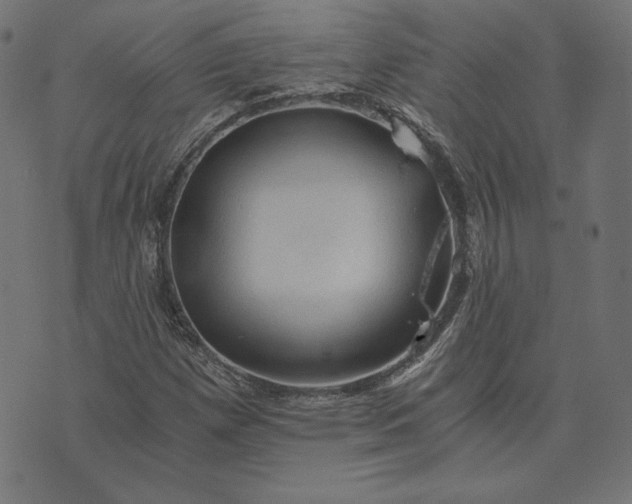 X0000073751257200608171322