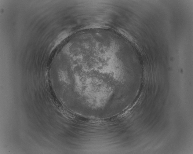 X0000073751258200608171322