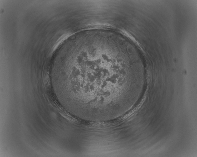 X0000073751259200608171322