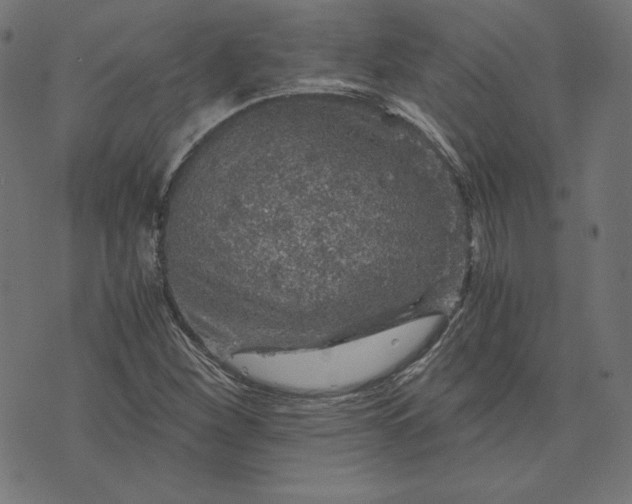 X0000073751260200608171322