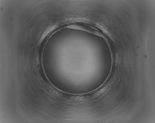 X0000073751261200608171322