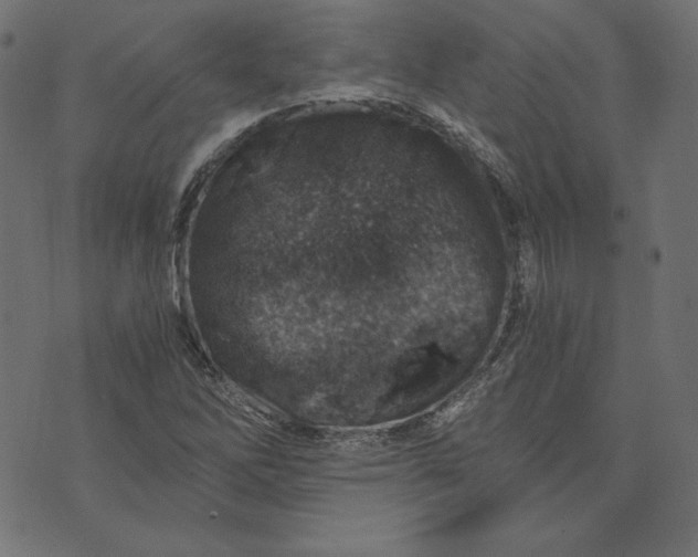 X0000073751262200608171322