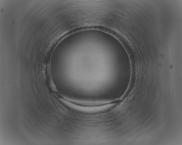 X0000073751265200608171322