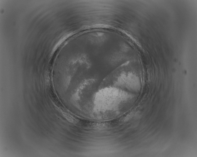 X0000073751266200608171322