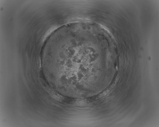 X0000073751267200608171322