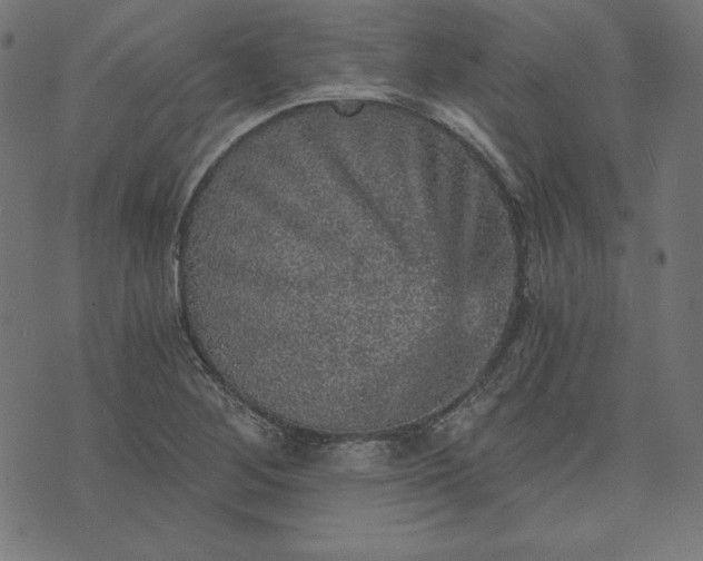 X0000073751268200608171322