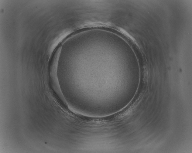 X0000073751269200608171322