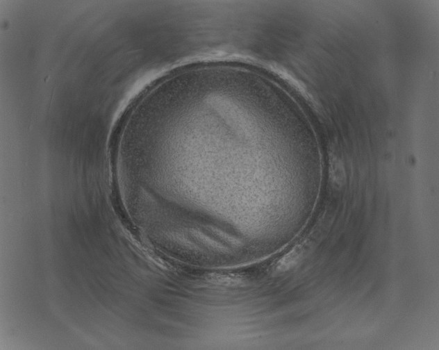 X0000073751270200608171322