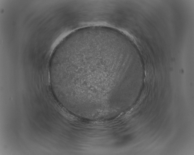 X0000073751271200608171322