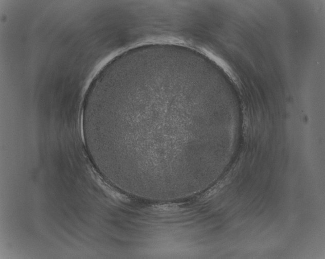 X0000073751272200608171322