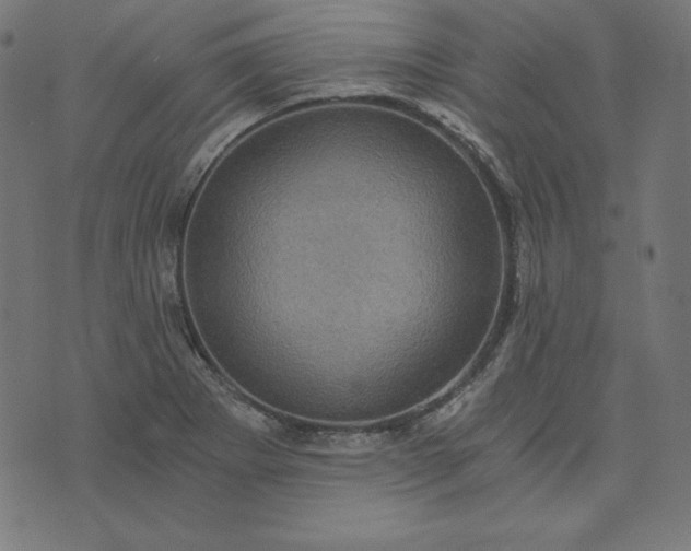 X0000073751273200608171322