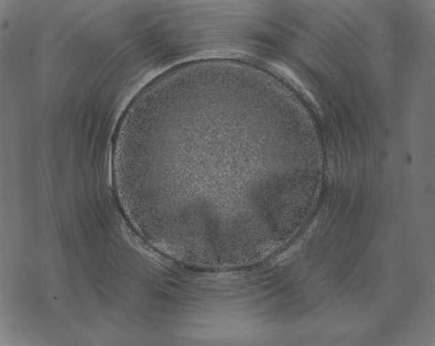 X0000073751276200608171322