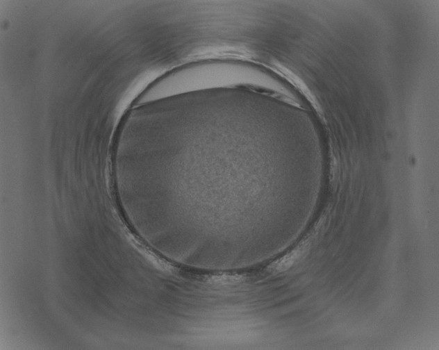 X0000073751277200608171322