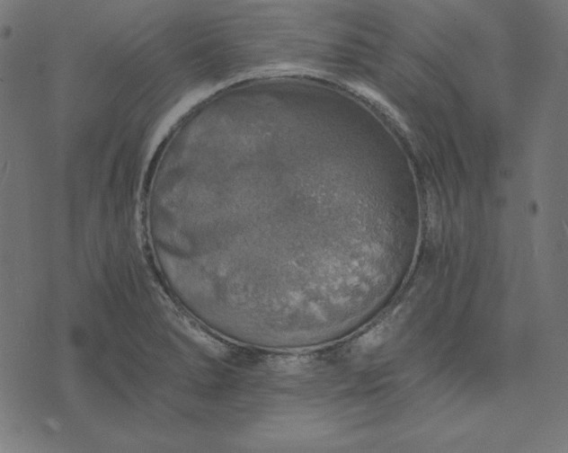 X0000073751278200608171322