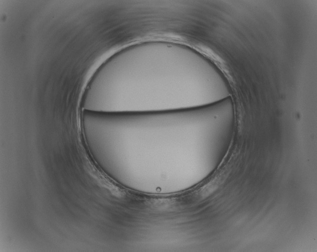 X0000073751280200608171322