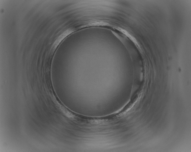 X0000073751281200608171322