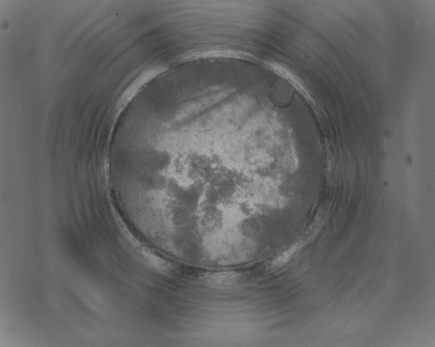 X0000073751282200608171322