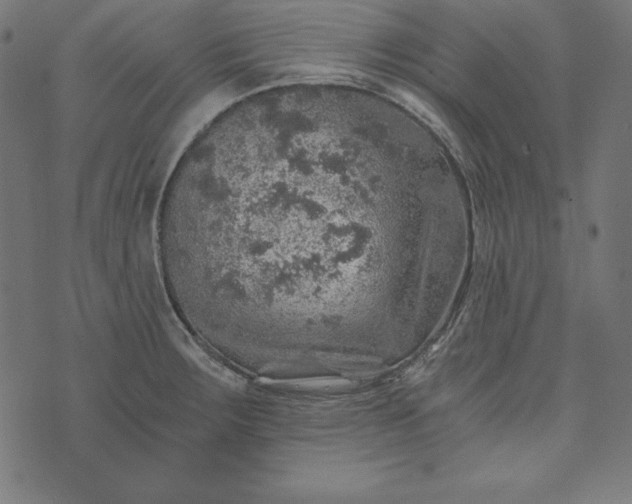 X0000073751283200608171322