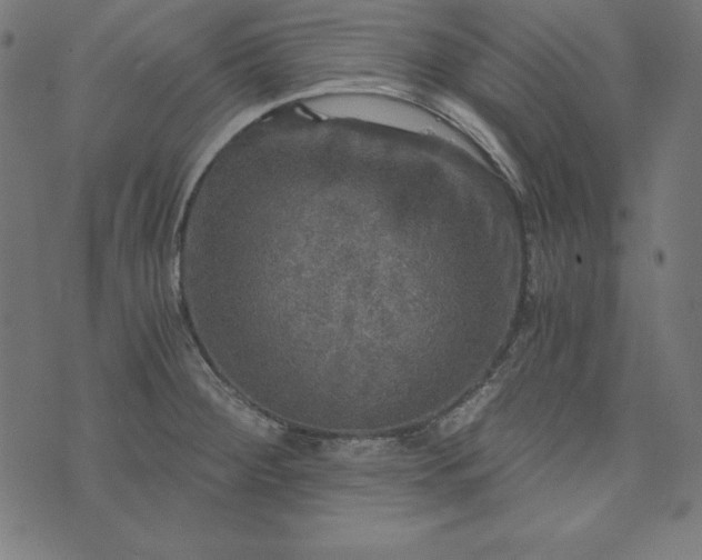 X0000073751284200608171322