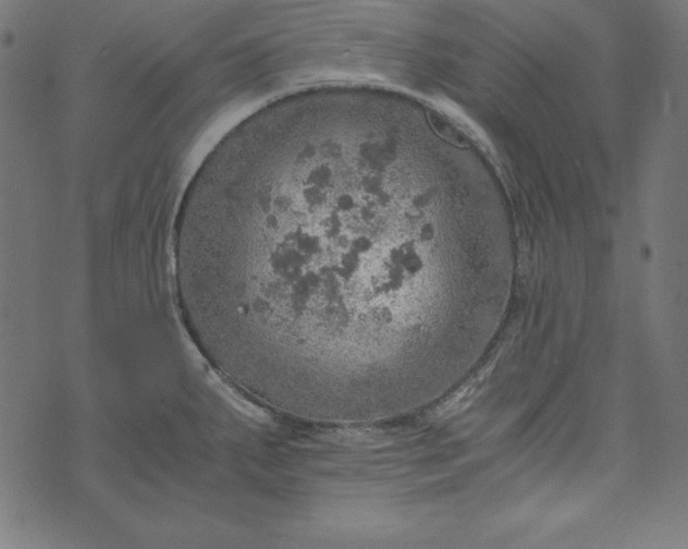 X0000073751287200608171322