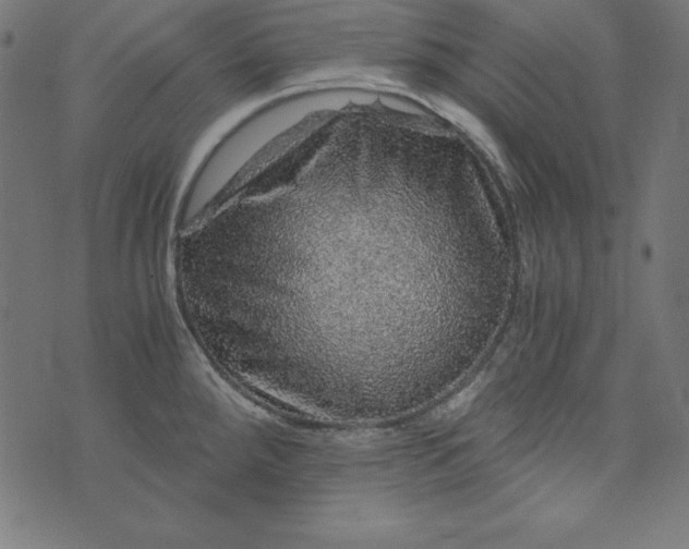 X0000073751288200608171322