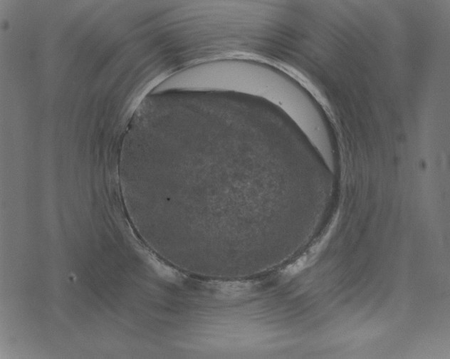 X0000073751289200608171322