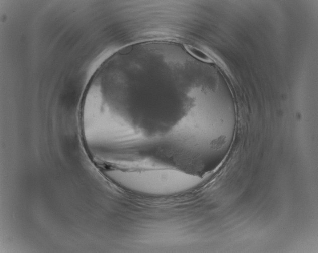 X0000073751291200608171322