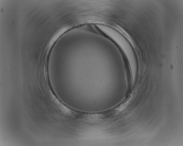 X0000073751293200608171322