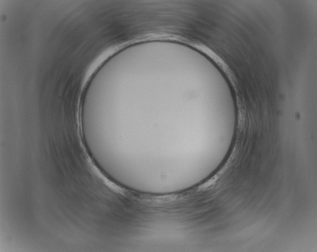 X0000073751294200608171322