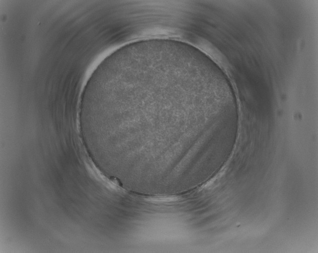 X0000073751296200608171322