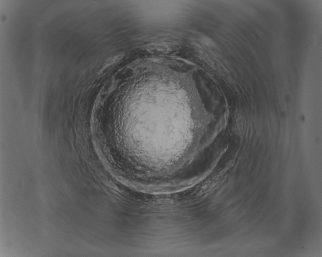 X0000073751297200608171321