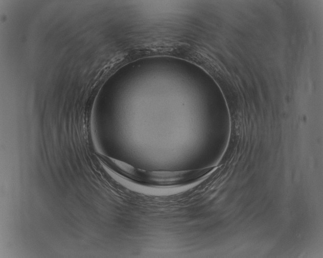 X0000073751298200608171321