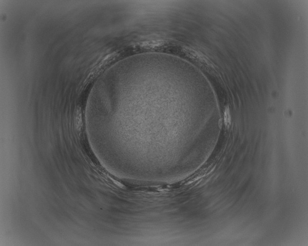 X0000073751299200608171321