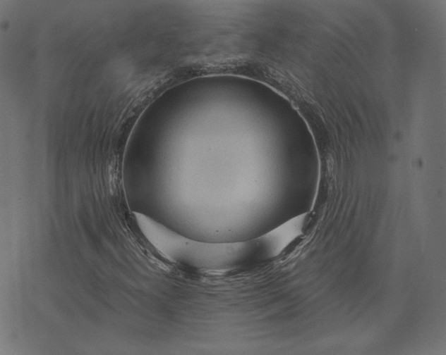 X0000073751300200608171321