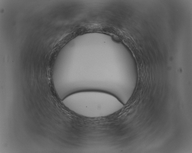 X0000073751301200608171321