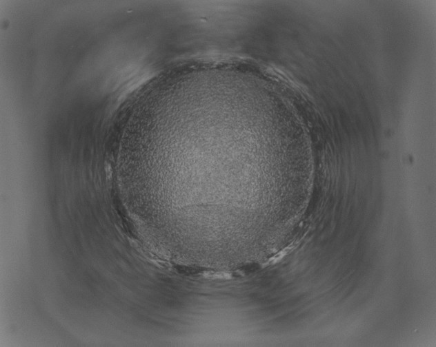 X0000073751302200608171321