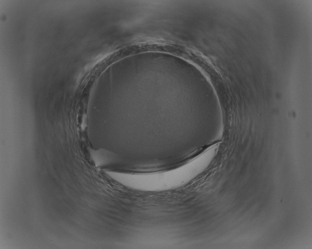 X0000073751303200608171321