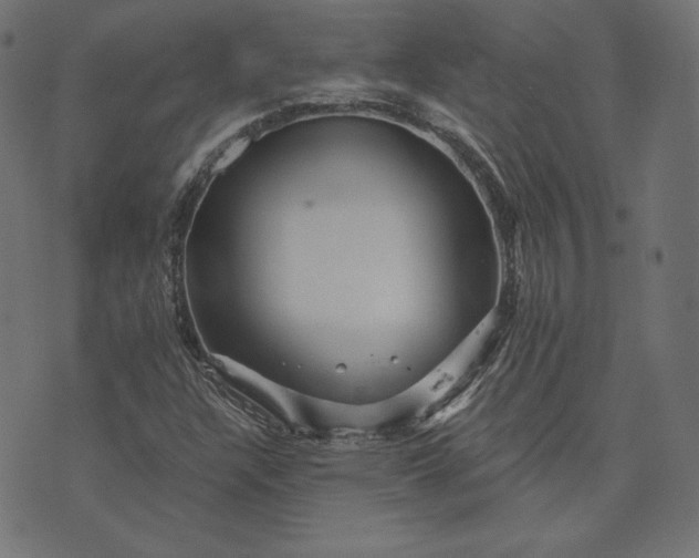 X0000073751304200608171321