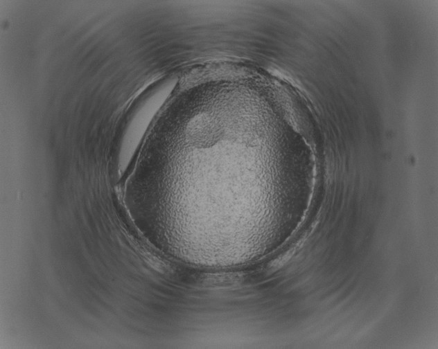 X0000073751305200608171321