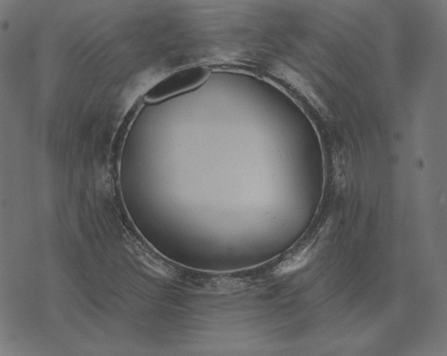 X0000073751308200608171321